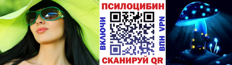 Псилоцибиновые грибы Psilocybine cubensis где купить Шагонар